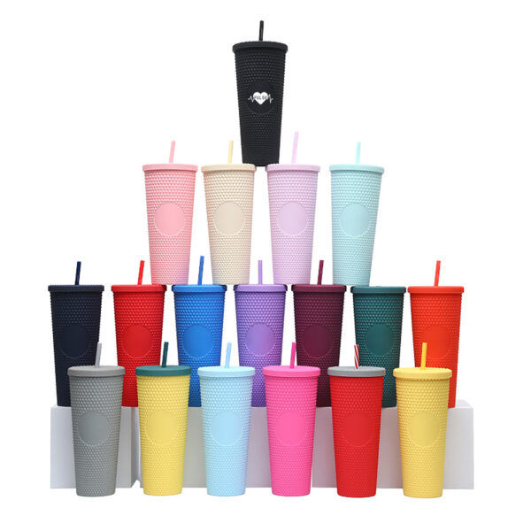 24 oz Double Wall Plastic Cup Tumbler